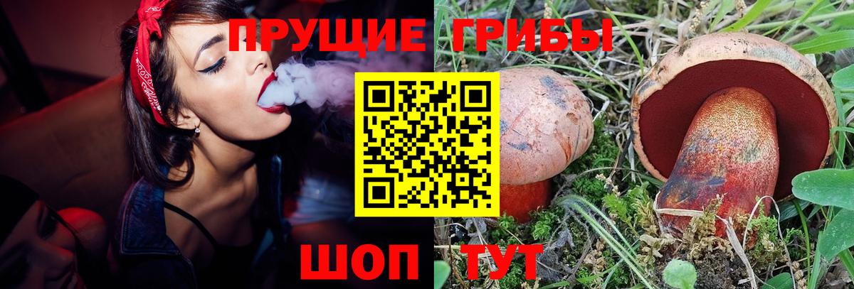 Кировск  хочу наркоту  Вход с VPN  Псилоцибиновые грибы мухоморы 