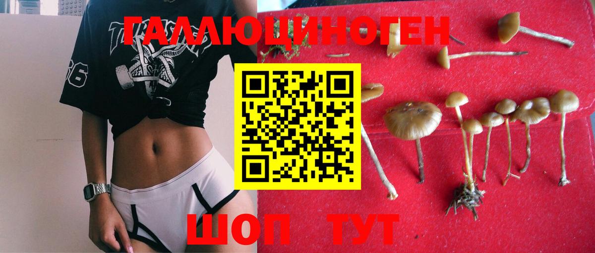Псилоцибиновые грибы MAGIC MUSHROOMS Кировск