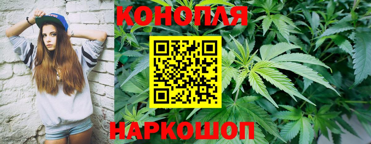 Марихуана сатива  Вход с VPN  Бошки марихуана марихуана  Каннабис сатива  Кировск 